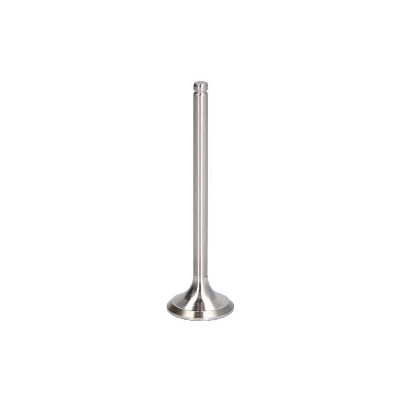 NE 148038000300 Exhaust Valve