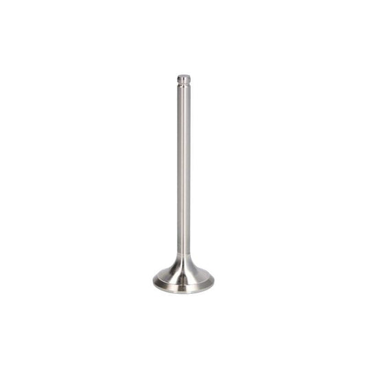 NE 148038000300 Exhaust Valve
