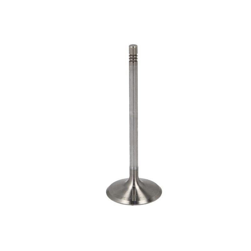 FRECCIA 6950/SCR Intake Valve