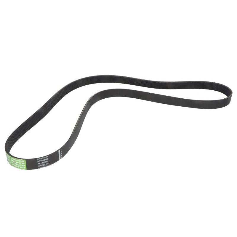 OPTIBELT 1003185AP V-Ribbed Belt