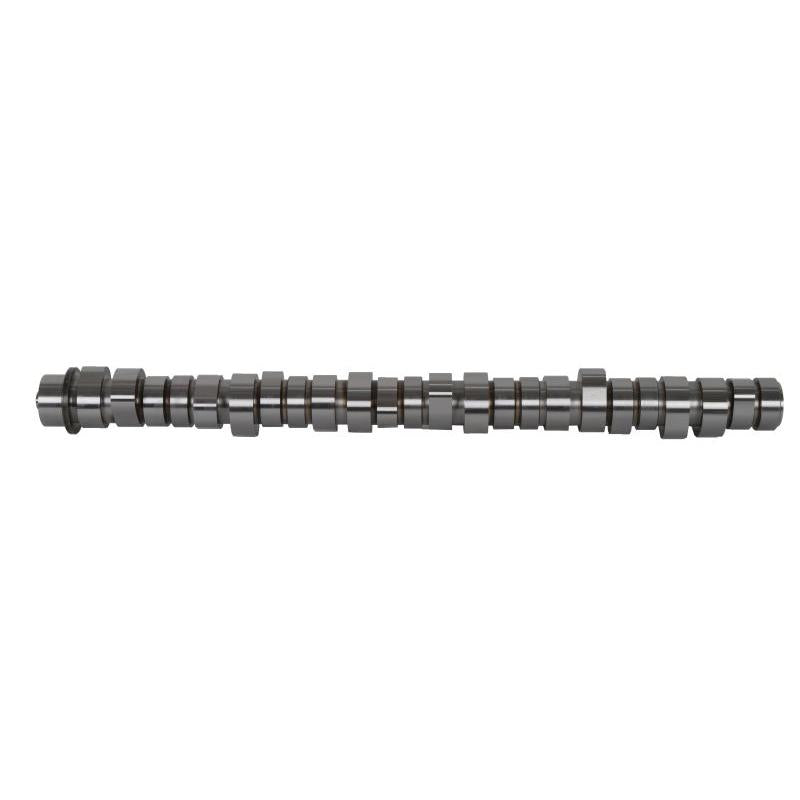 BF 20100411002 Camshaft