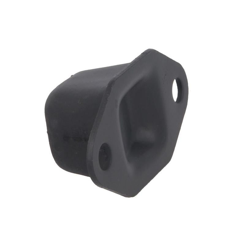 TEDGUM 443679 Control/Trailing Arm Mounting