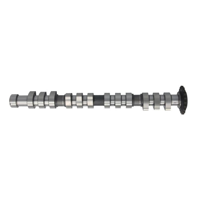 AE CAM743 Camshaft