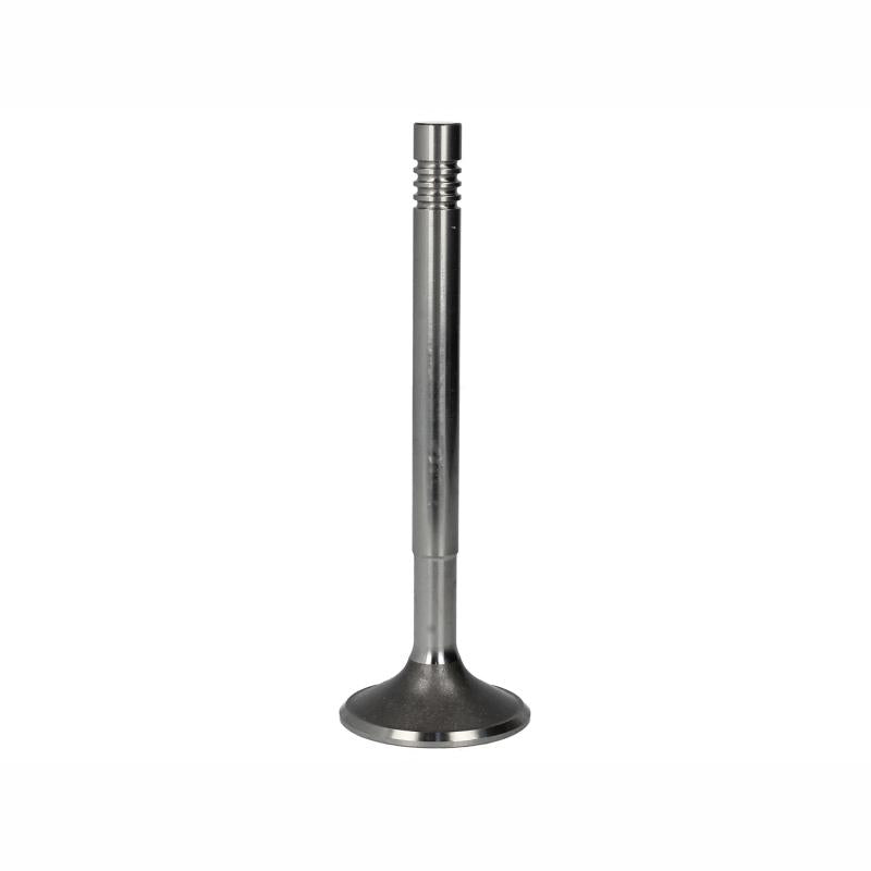 PARADOWSCY PGUL001 Intake Valve