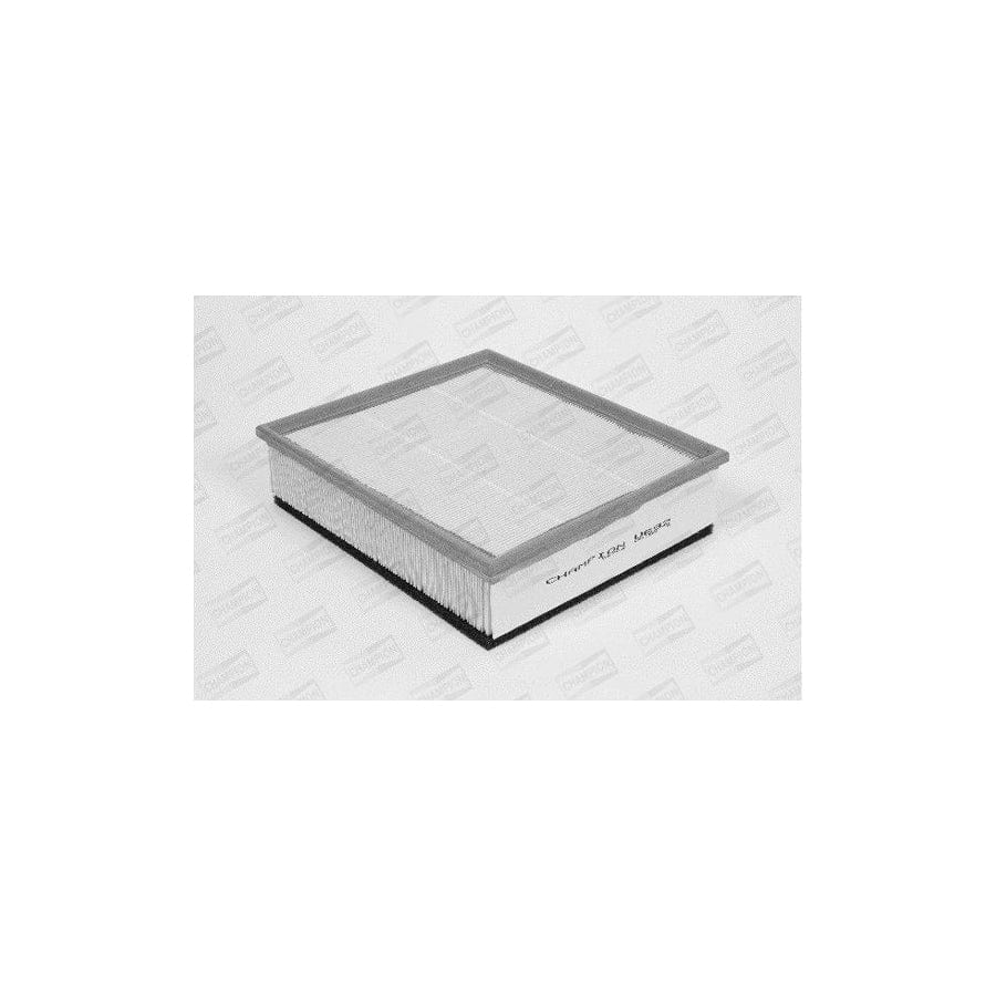 Champion U692/606 Air Filter