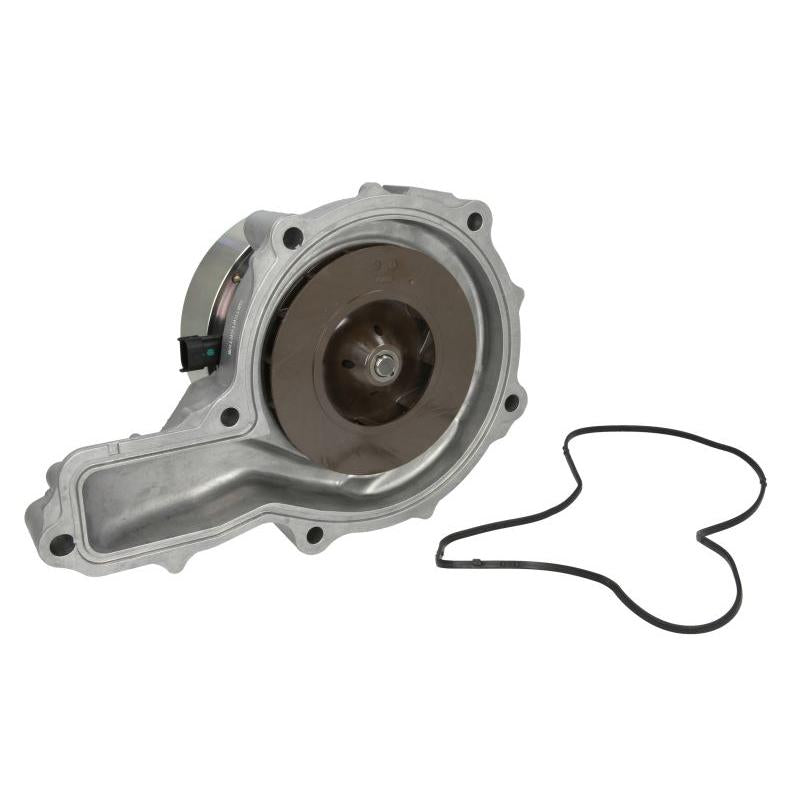 OMP OMP317.460 Water Pump