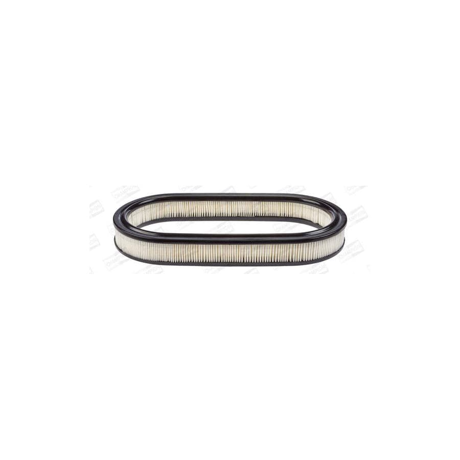 Champion Caf100226R Air Filter