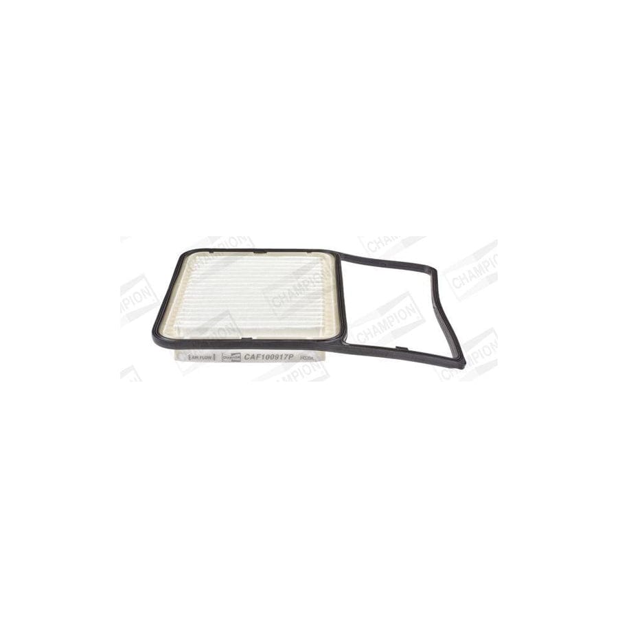 Champion Caf100917P Air Filter