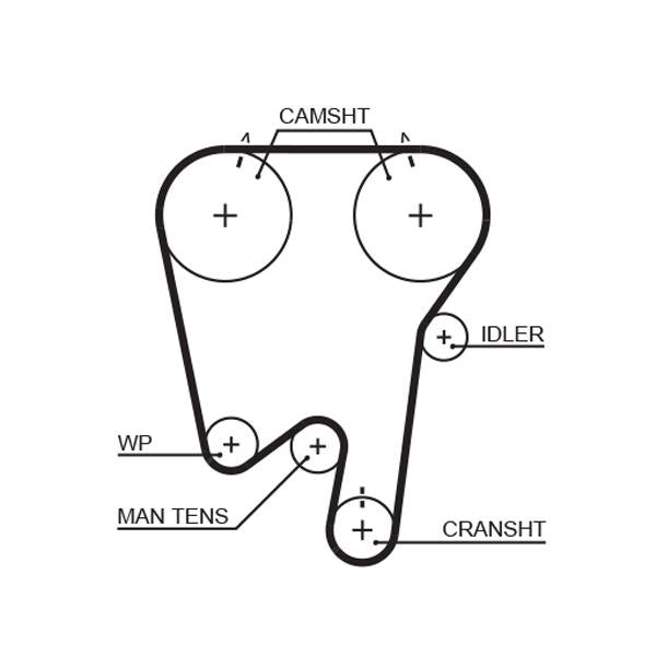 GATES GAT5396XS Timing Belt