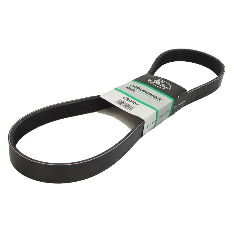 GATES GATCB0009 V-Ribbed Belt