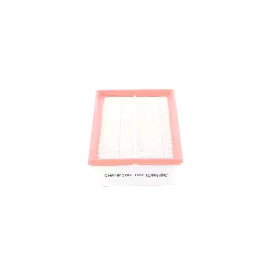 Champion Caf100830P Air Filter