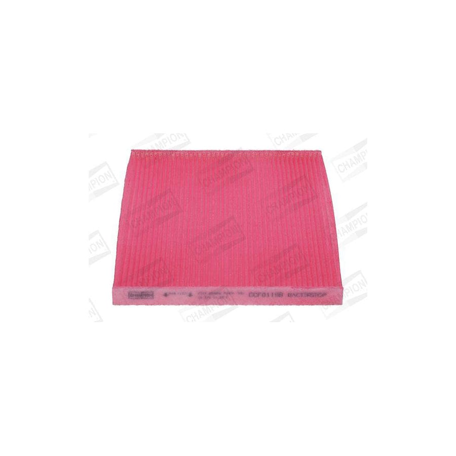 Champion Ccf0119B Pollen Filter