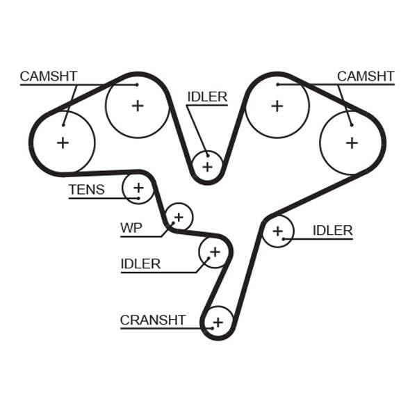 GATES GAT5602XS Timing Belt