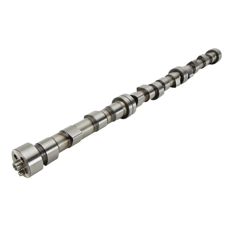 BF 20100208261 Camshaft