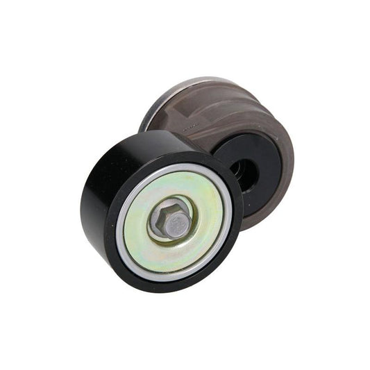 OE FORD TRUCKS GC466A228BDN Tensioner Pulley (V-Ribbed Belt) Tension Spring