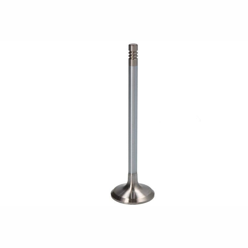 NE 147037002500 Intake Valve