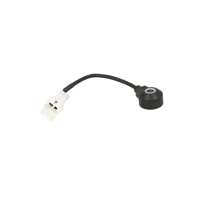 FAE AE60246 Knock Sensor