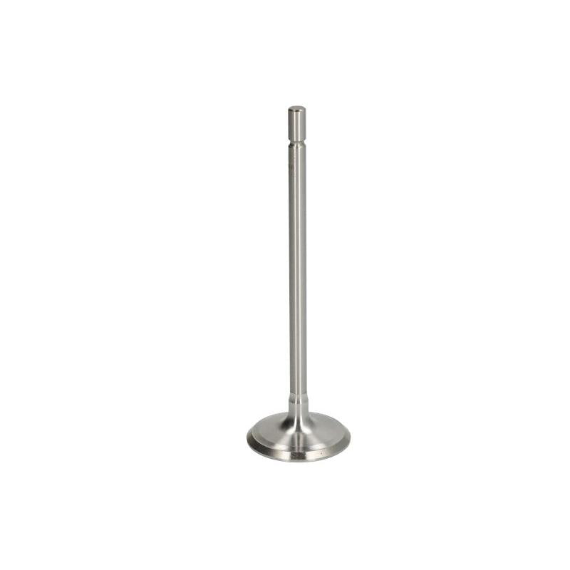 NE 147038001100 Intake Valve
