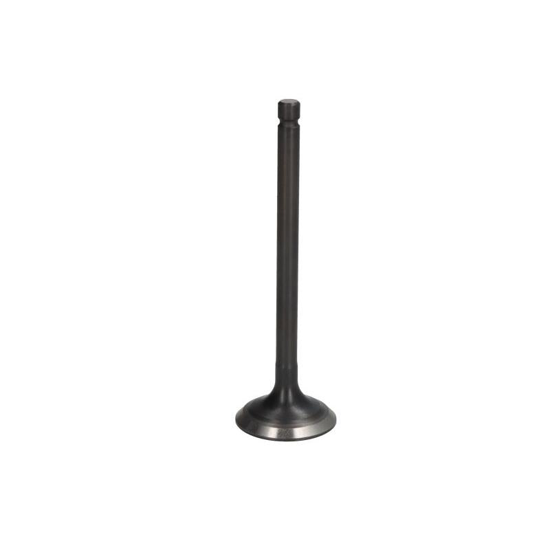 PARSUN F25-05050002 Exhaust Valve