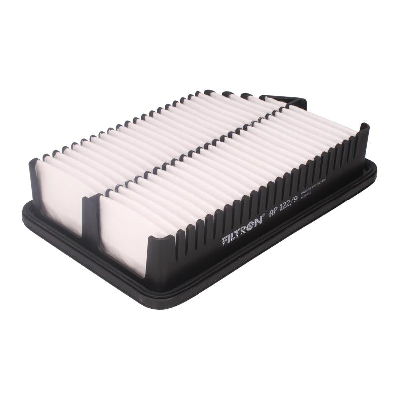 FILTRON AP1229 Air Filter