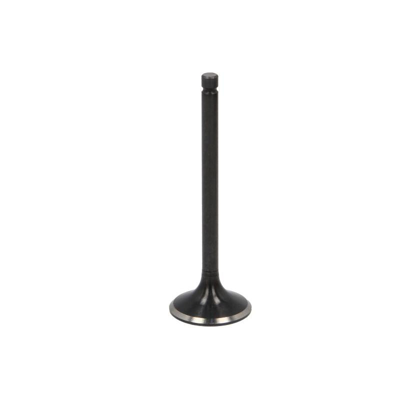 NE 147110000100 Intake Valve