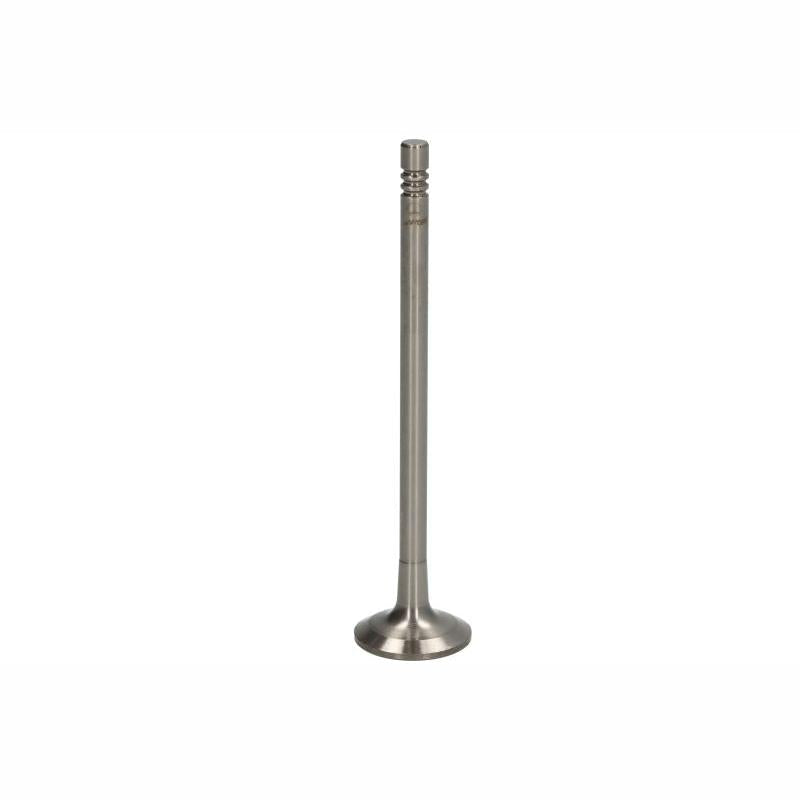 PARADOWSCY PREN105 Exhaust Valve