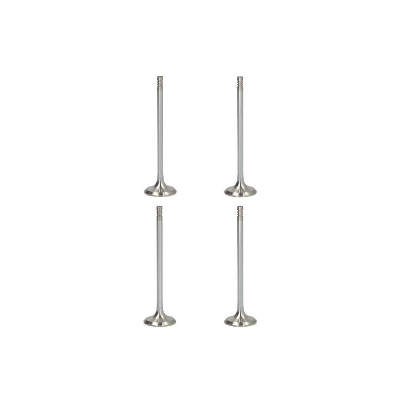 NE 148020000300 Exhaust Valve