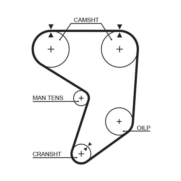 GATES GAT5195XS Timing Belt