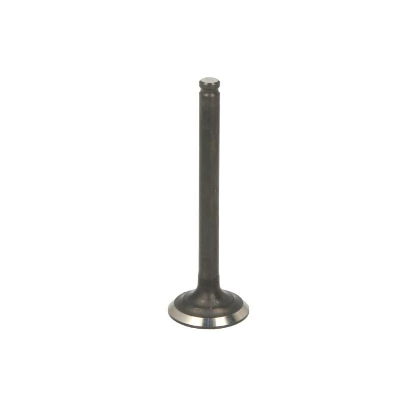 PARSUN F6-04050002 Exhaust Valve
