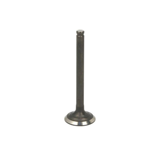 PARSUN F6-04050002 Exhaust Valve