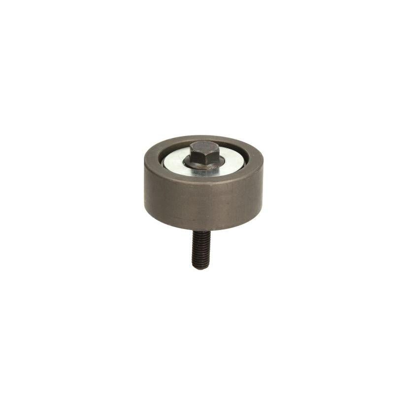 DAYCO DAYAPV2818 V-Ribbed Belt Deflection/Guide Pulley