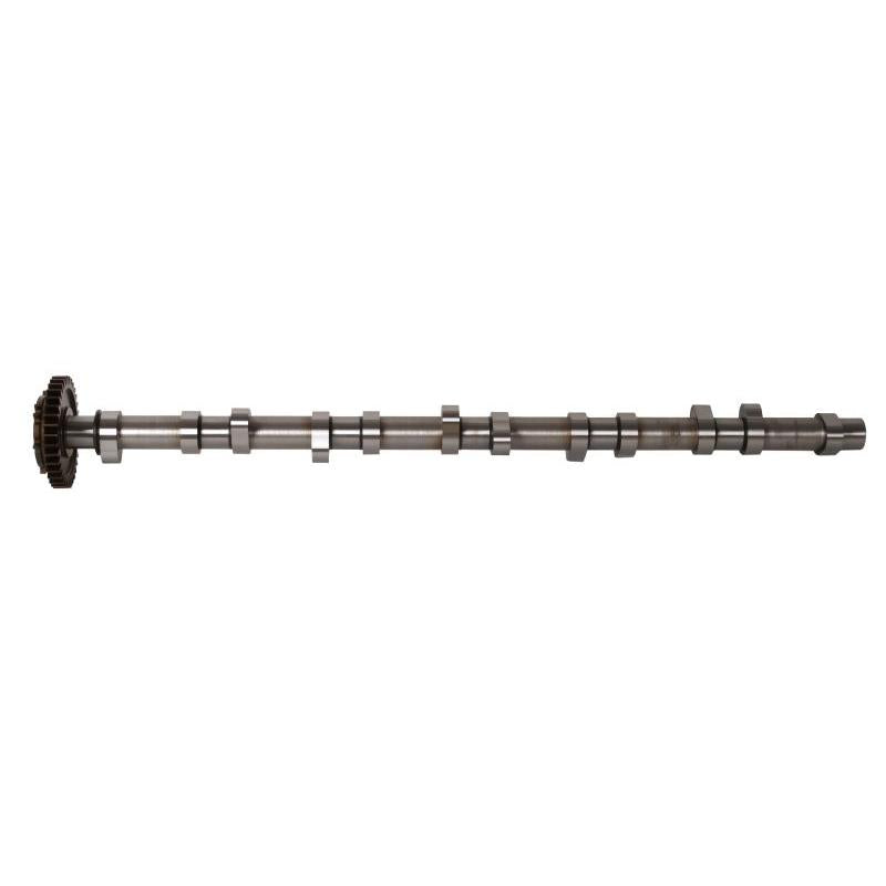BF 20100220663 Camshaft