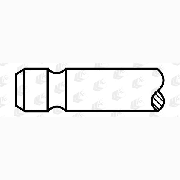 AE V95123 Intake Valve