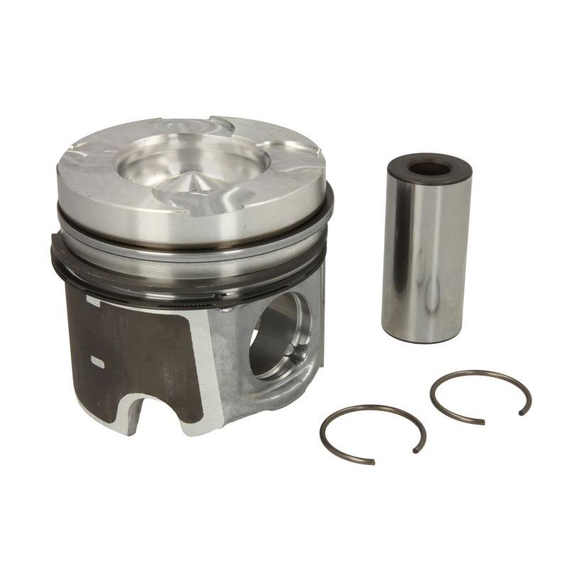 NURAL 8713750030 Piston