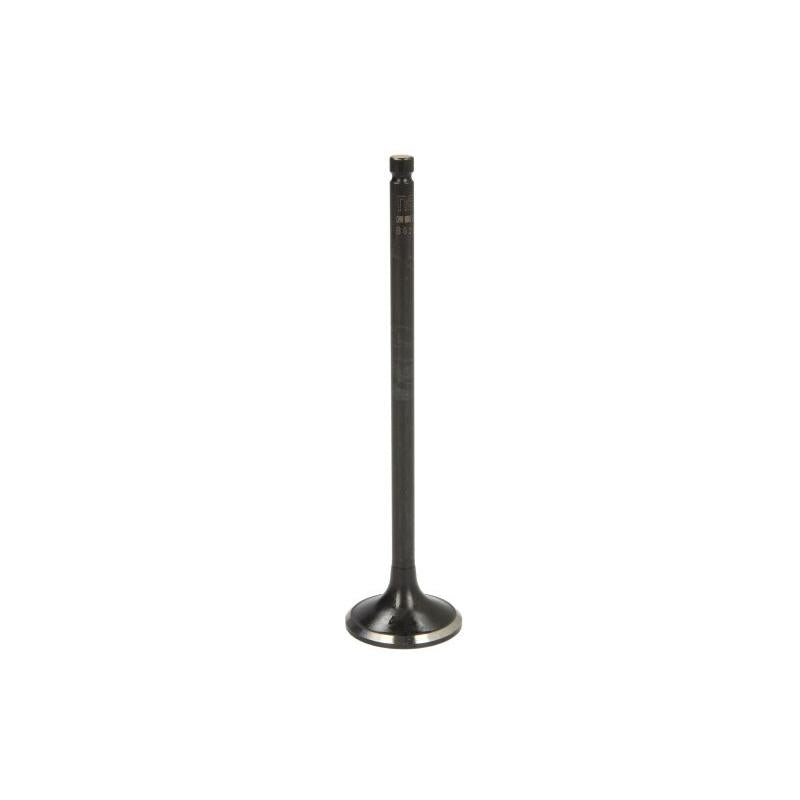 NE 148090000100 Exhaust Valve