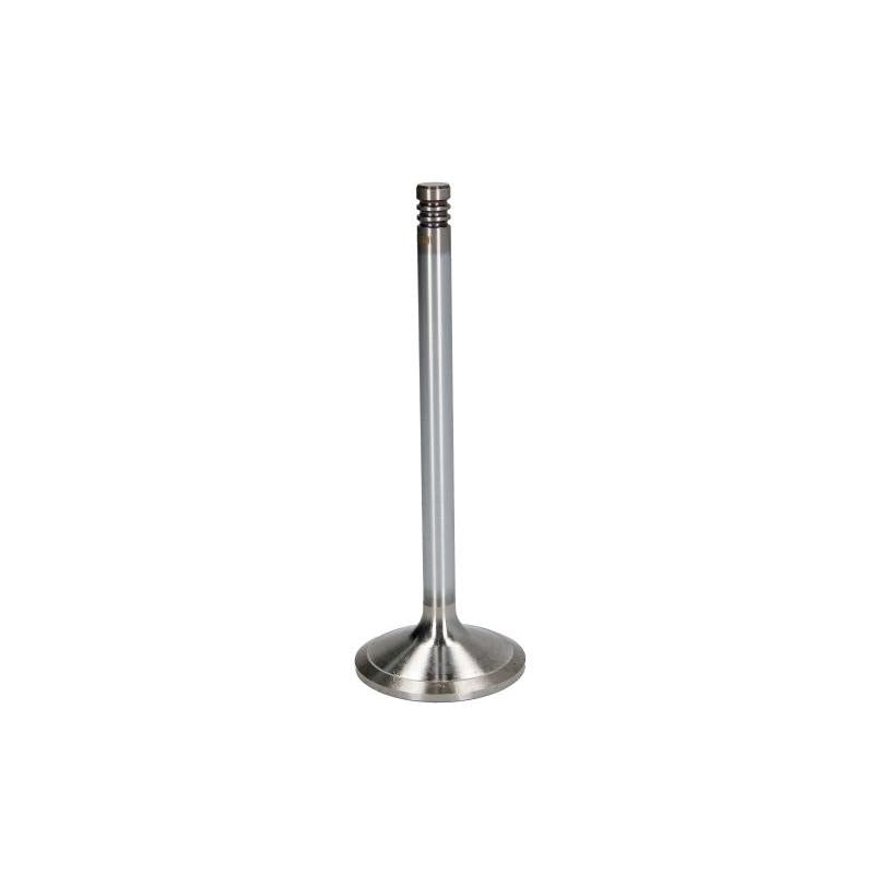 OE GERMANY 040520101302 Intake Valve