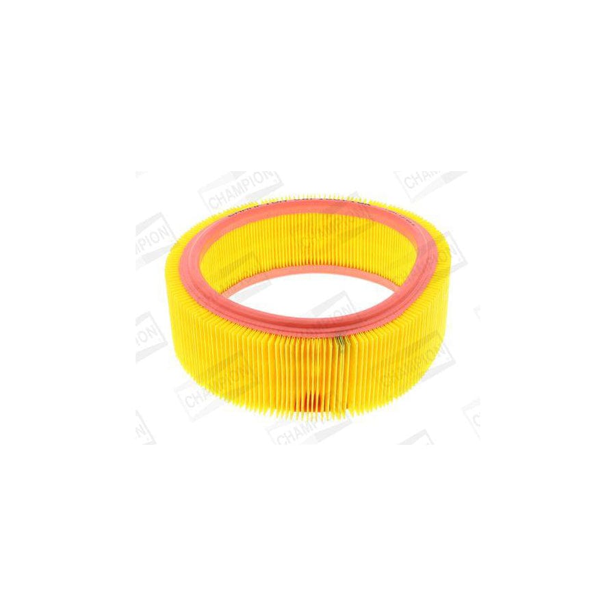 Champion Caf100716R Air Filter