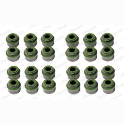 PAYEN HR800 Valve Stem Seal Set