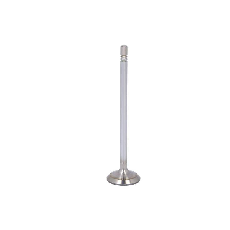 NE 147121000000 Intake Valve