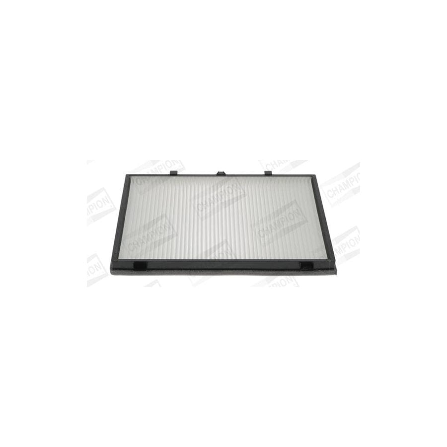 Champion Ccf0260 Pollen Filter