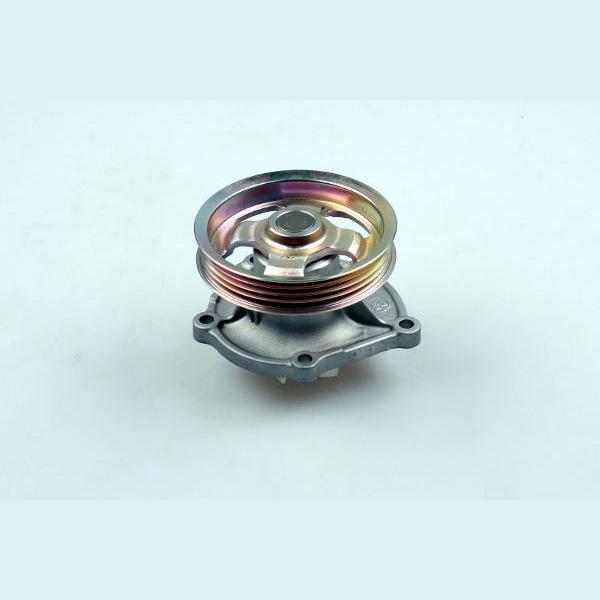 HEPU P7525 Water Pump