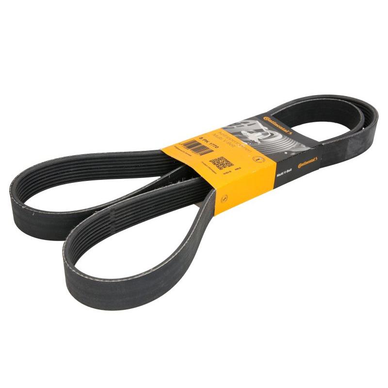 CONTITECH 8PK1770 V-Ribbed Belt