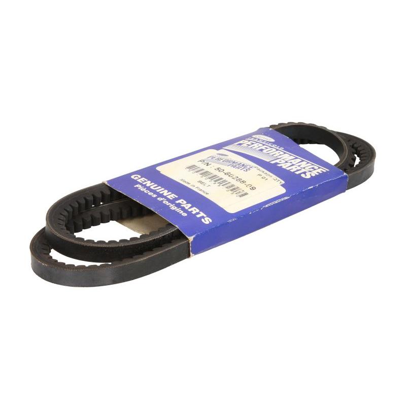 CARRIER 50-60288-09 V-Ribbed Belt