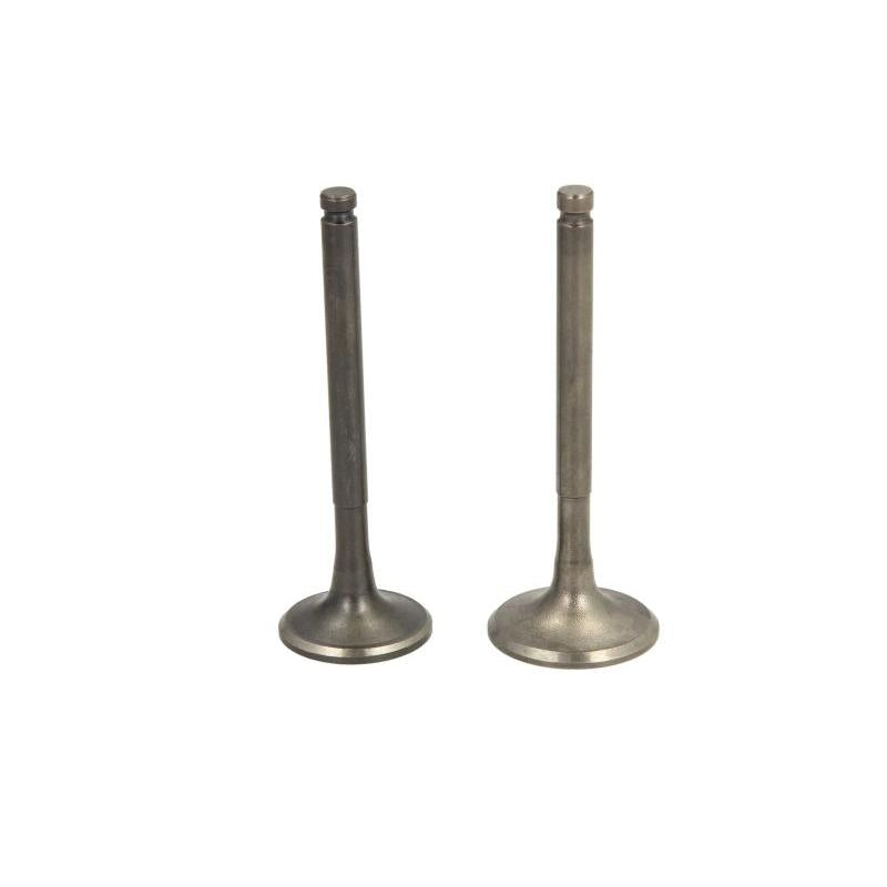 INPARTS IP000172 Intake Valve
