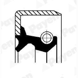 PAYEN NJ132 Wheel Hub Shaft Seal