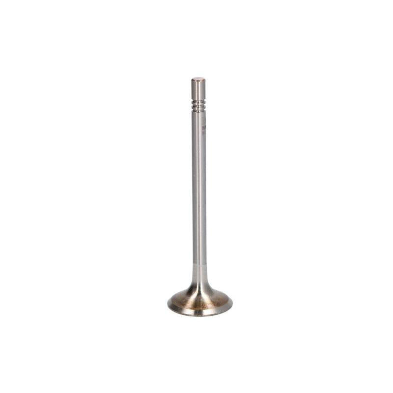 NE 147050001800 Intake Valve