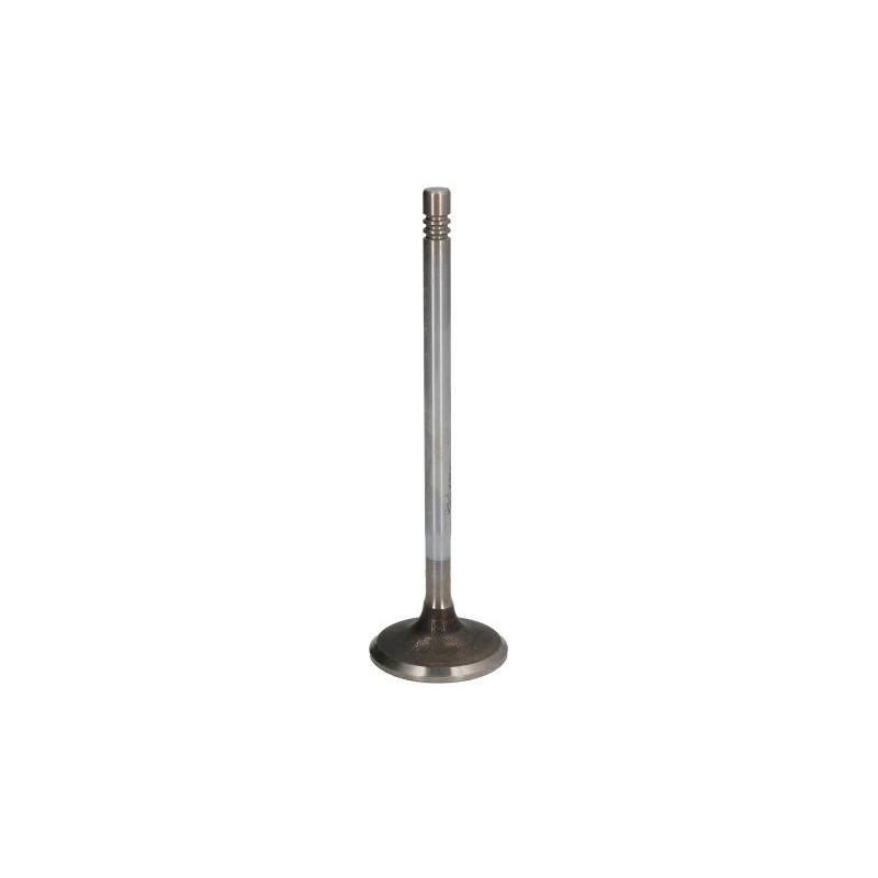 VM MOTORI VM20362009F Intake Valve