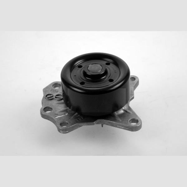 HEPU P7648 Water Pump