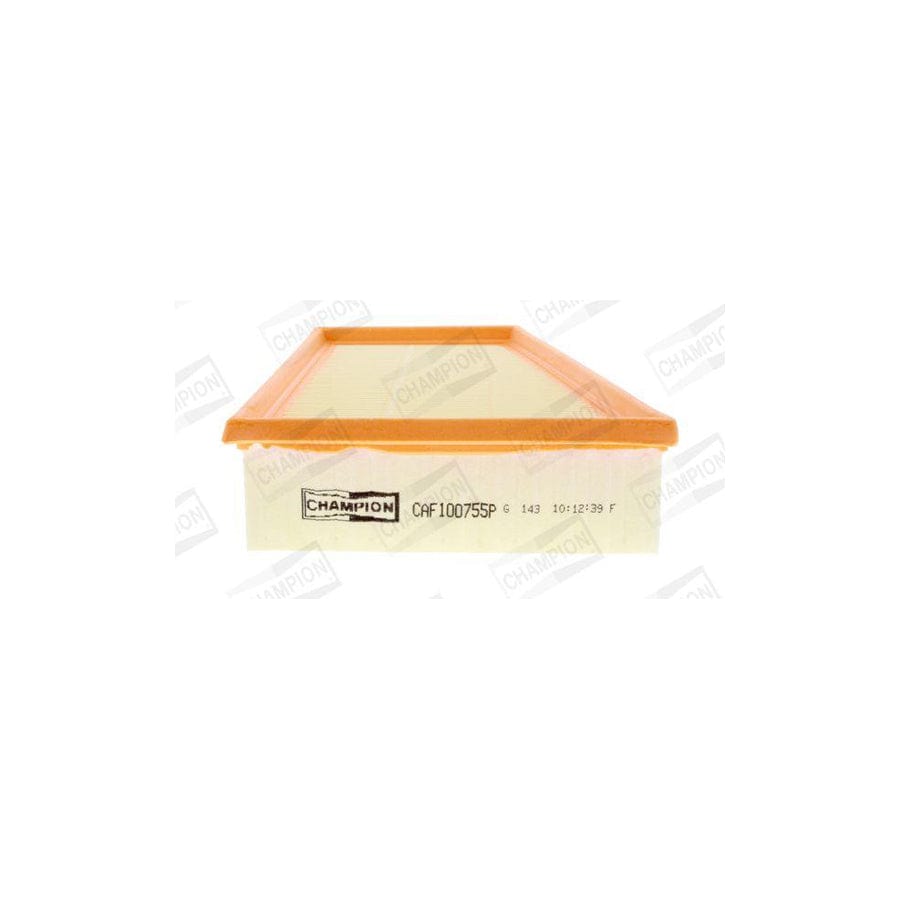 Champion Caf100755P Air Filter