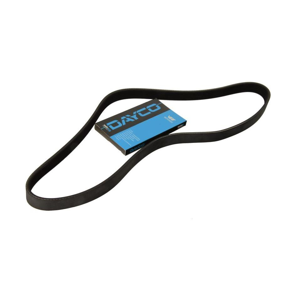DAYCO DAY6PK2000 V-Ribbed Belt